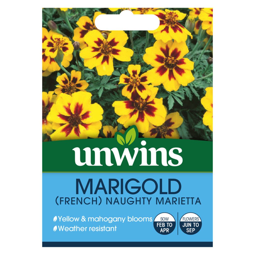 Unwins French Marigold Naughty Marietta Seeds 5051618011594 2
